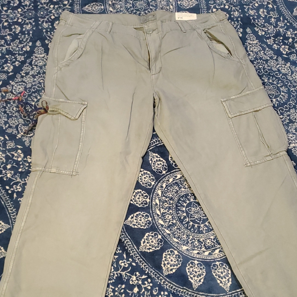 American Eagle Outfitters Light Gray Cargo Pants